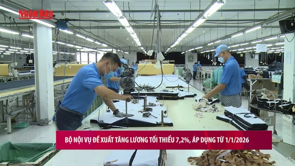 Cục An toàn thực phẩm: Thông tin mới vụ sữa HIUP giả và các khoản thu giữ lớn