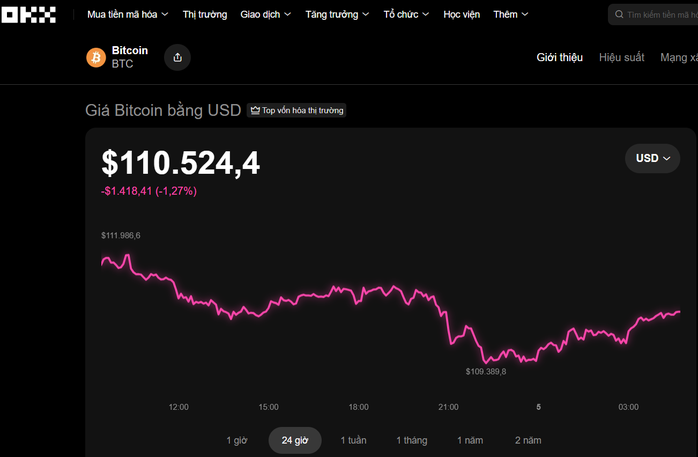 Thị Trường Tiền Điện Tử Sụt Giảm: Bitcoin Giảm Xuống 110.500 USD, Việt Nam Đứng Thứ 4 Về Tiếp Nhận Tài Sản Số